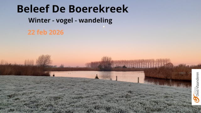 Winter-vogel-wandeling