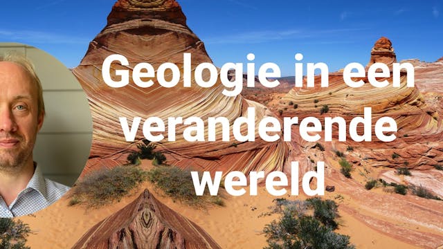 Stijn £Dewaele website