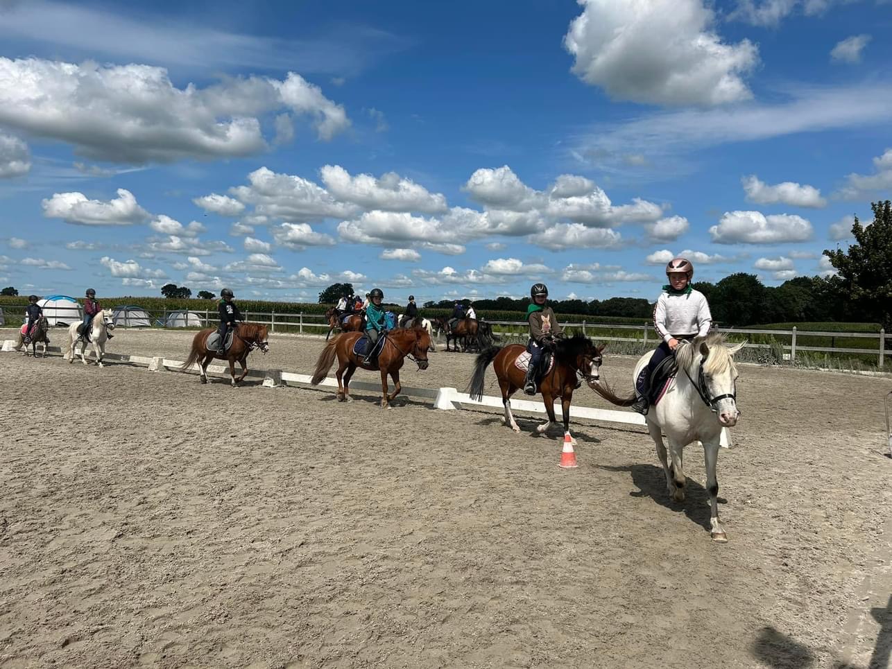 Paardrijlessen, paardrijkampen, ponydagen en verjaardagsfeestjes.