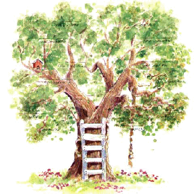 fvwestkuststartmetjestamboom