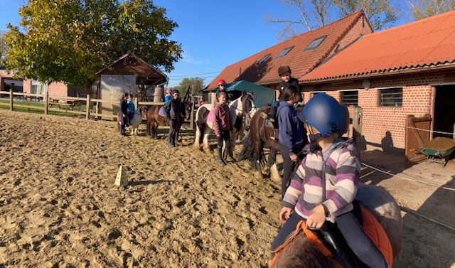Met de paarden, in kleine groepjes oefenen we vaardigheden in die ons helpen om te groeien naar succes. 