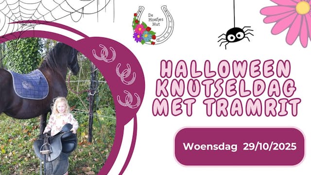 Halloween knutseldag met tramrit