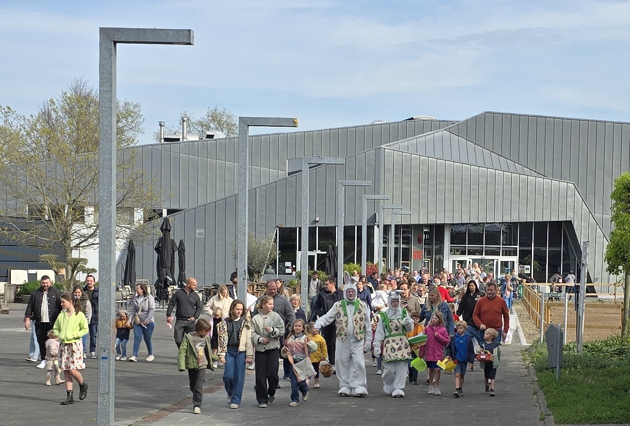 Image for gzbd activity