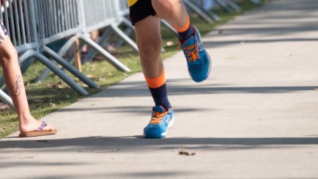 Gemeentebestuur Knokke-Heist