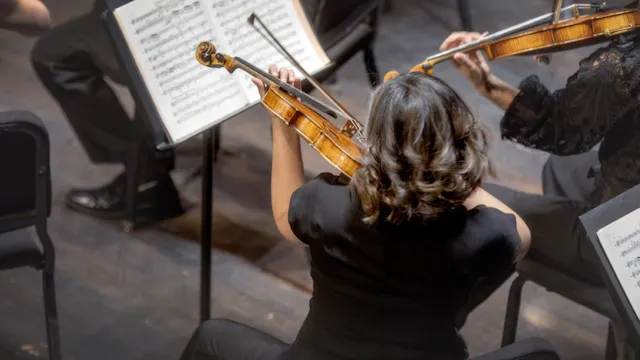Musici van het Budapest Festival Orchestra