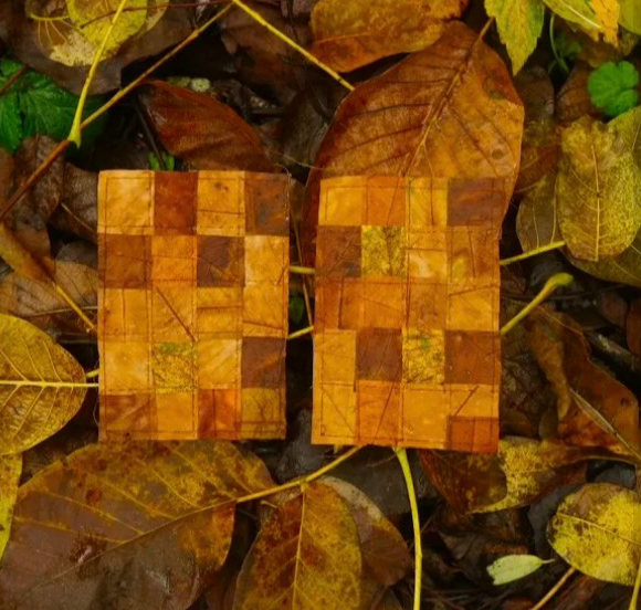 kunstwerk door Francesca van Daele