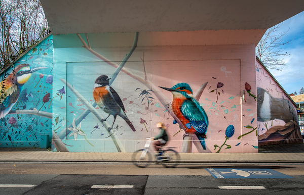 Street Art | Birds (Super-A, Collin van der Sluijs)