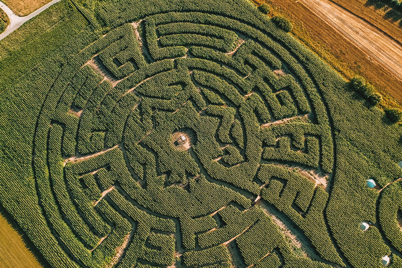 Maïsterplan: doolhof, glamping en events