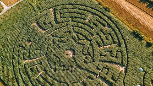 Maïsterplan: doolhof, glamping en events