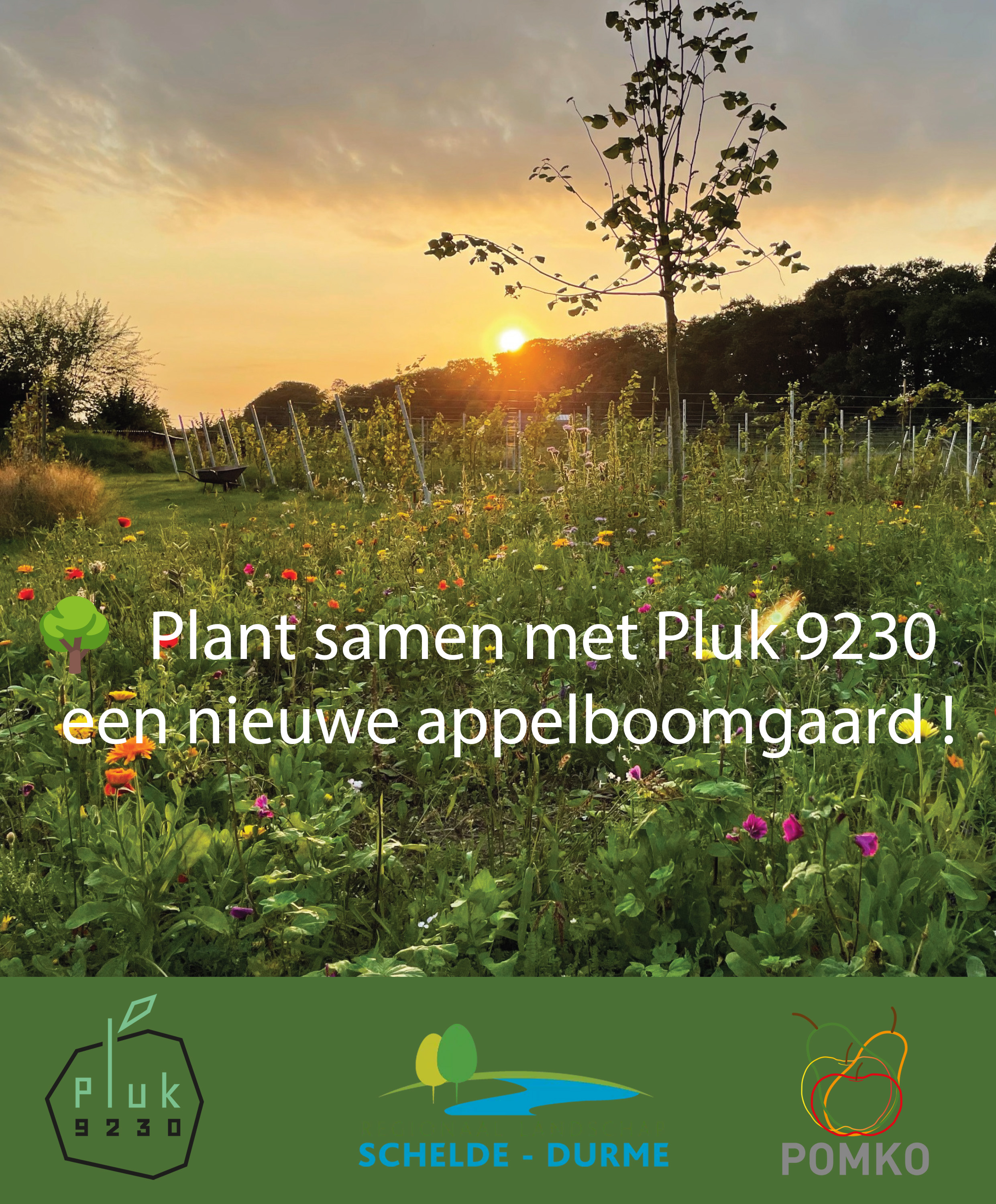 aanplant-boomgaard-pluk9230