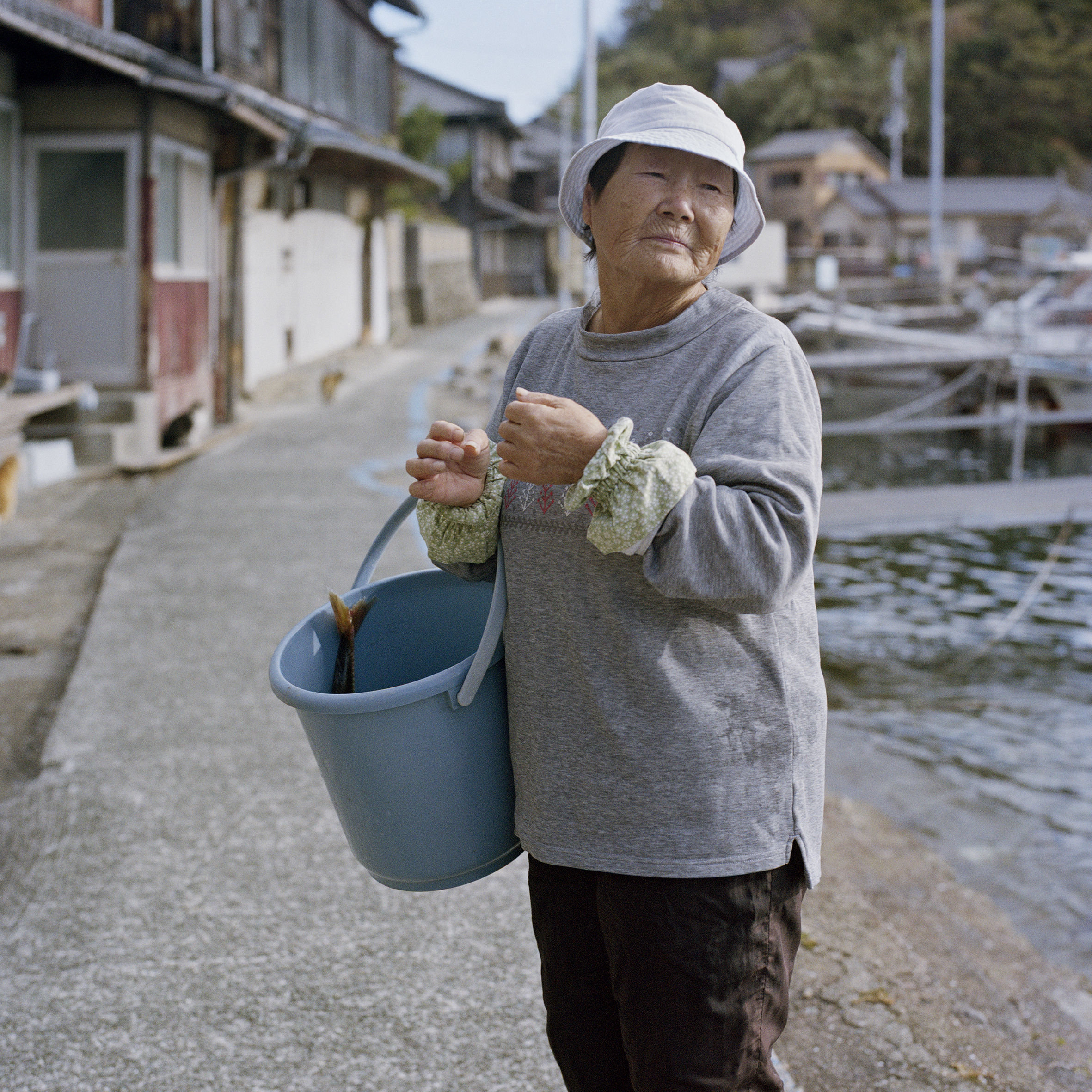 Katherine Longly - 'Cat island blues'