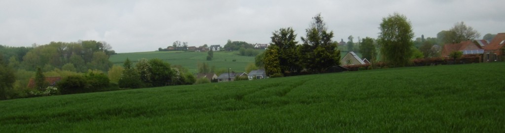 weidse landschappen