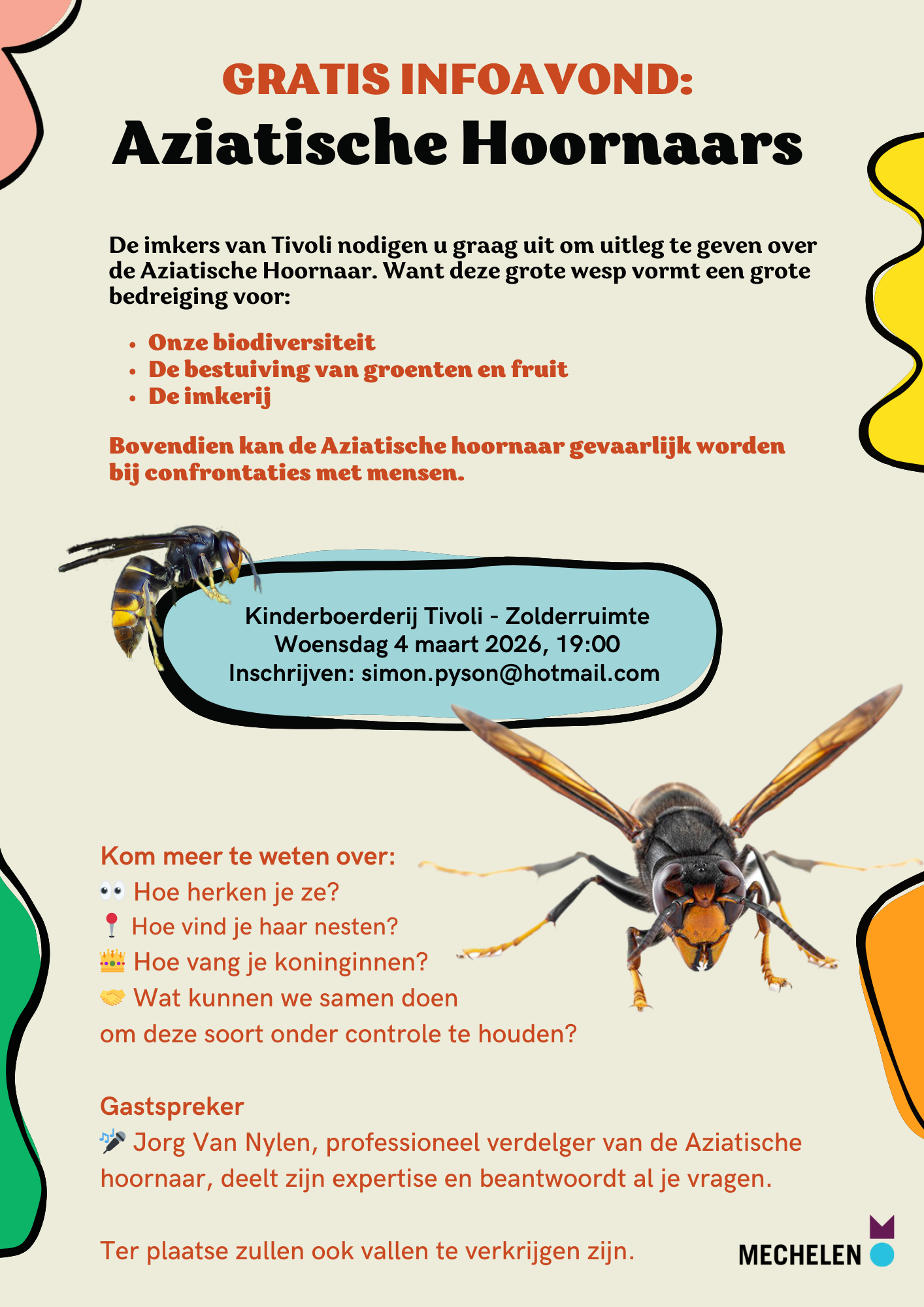 Info Aziatische hoornaar