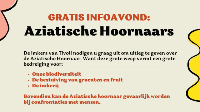 Info Aziatische hoornaar