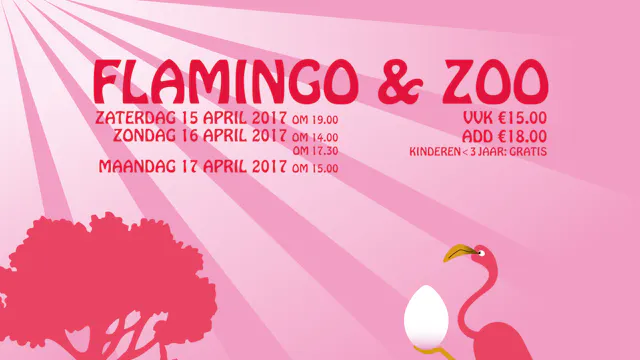 Flamingo & zoo