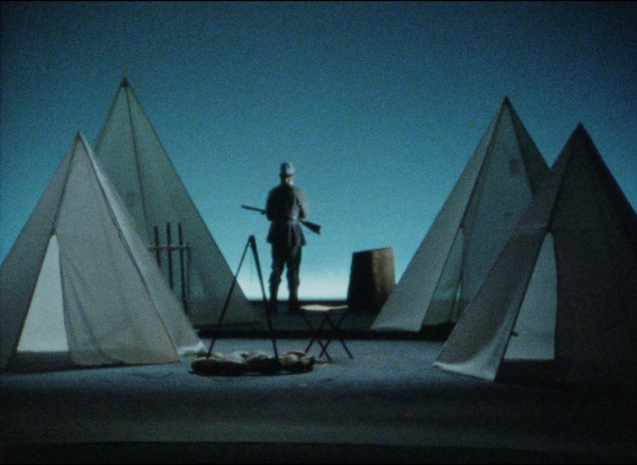 Robert Wilson and the CIVIL warS  - Howard Brooks