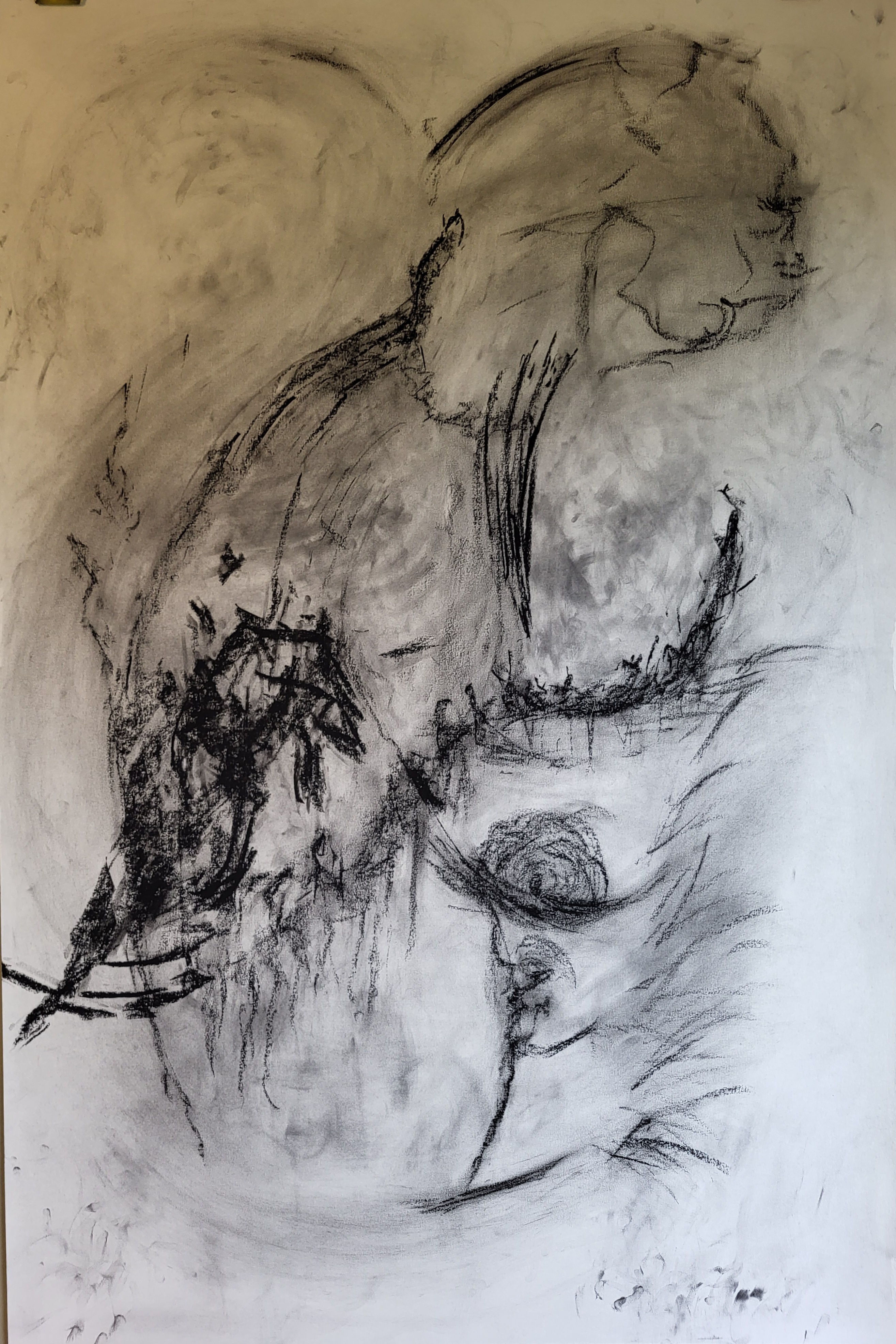 raven and her spirit