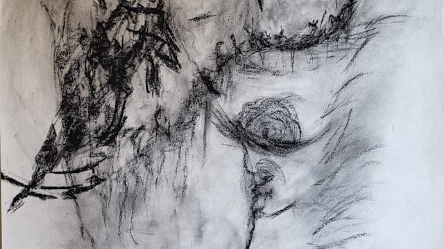 raven and her spirit