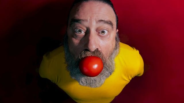 WIM WILLAERT - BOLLO SMIETO FLAMENCO