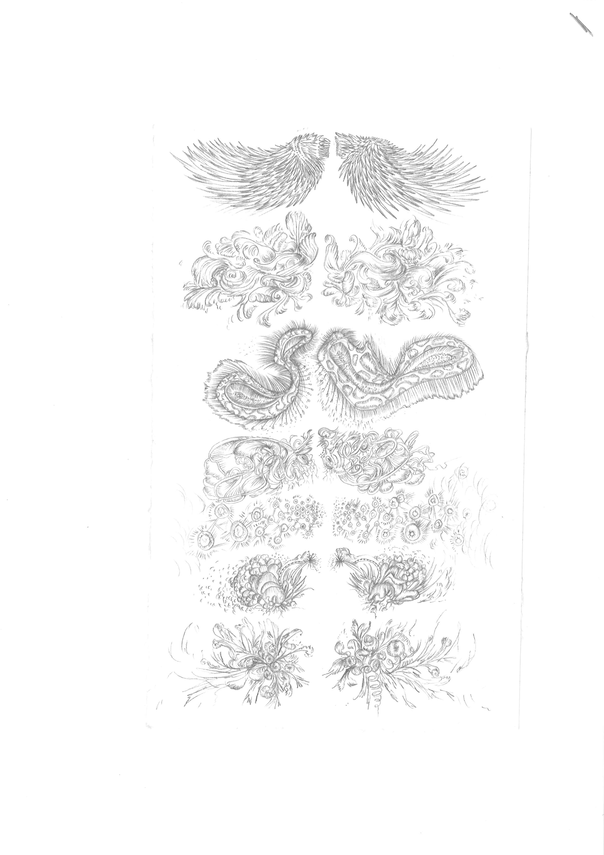 Het vertekende verhaal