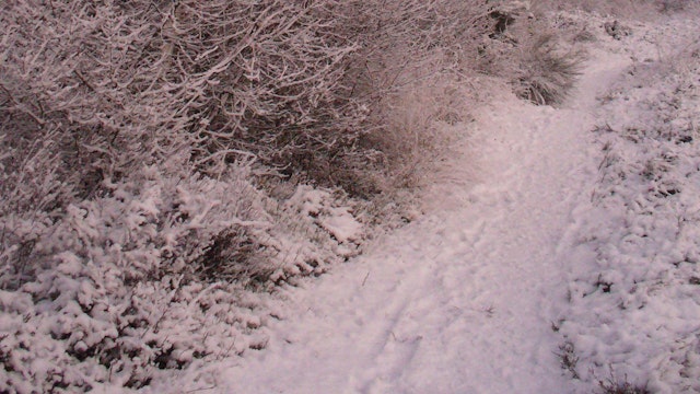 Wandeling in de Maten: Sporen in de sneeuw?