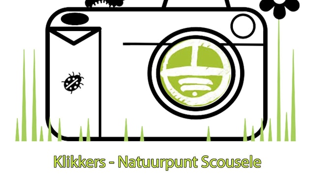 KLIK Scousele Werkgroep fotografie voor beginners