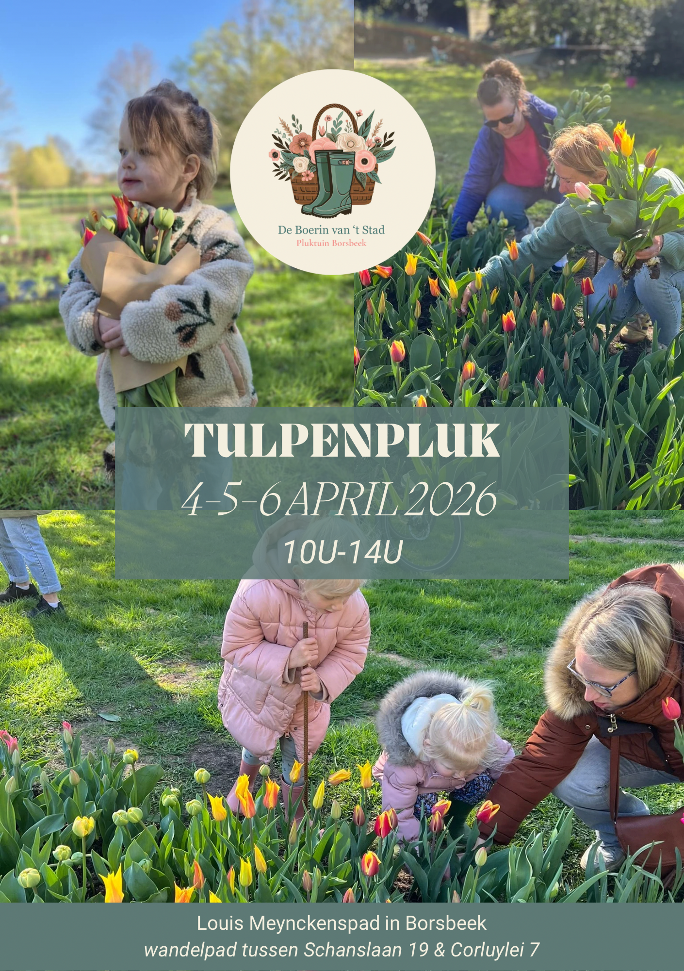 Tulpenpluk Borsbeek 4,5,6 april