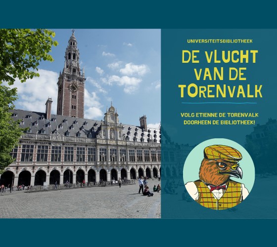 Etienne de Torenvalk