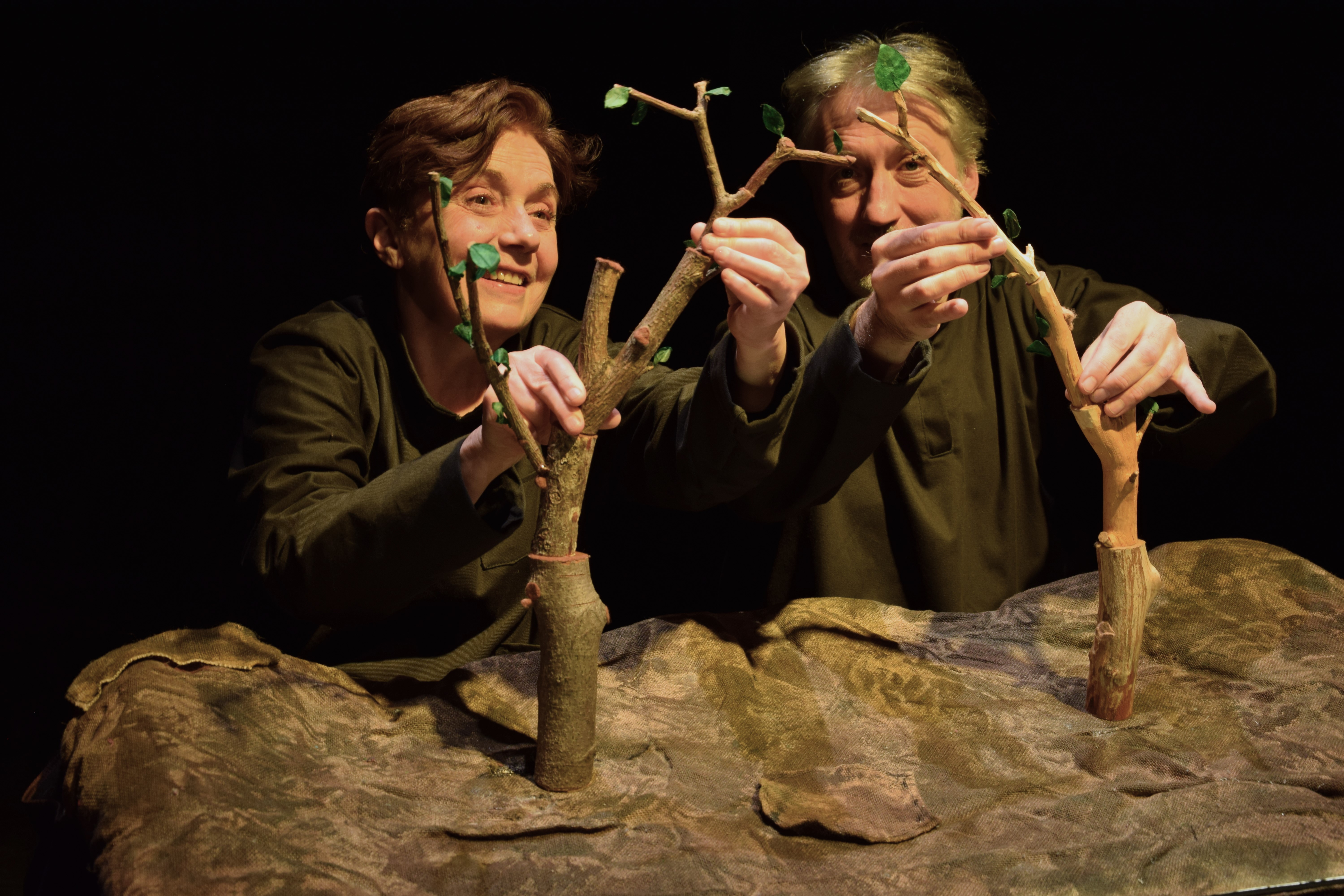 Inséparables (+2,5 ans)