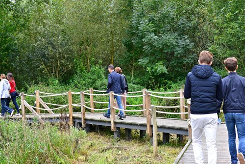 Groene Haltewandeling - Wandelen door het Parkbos