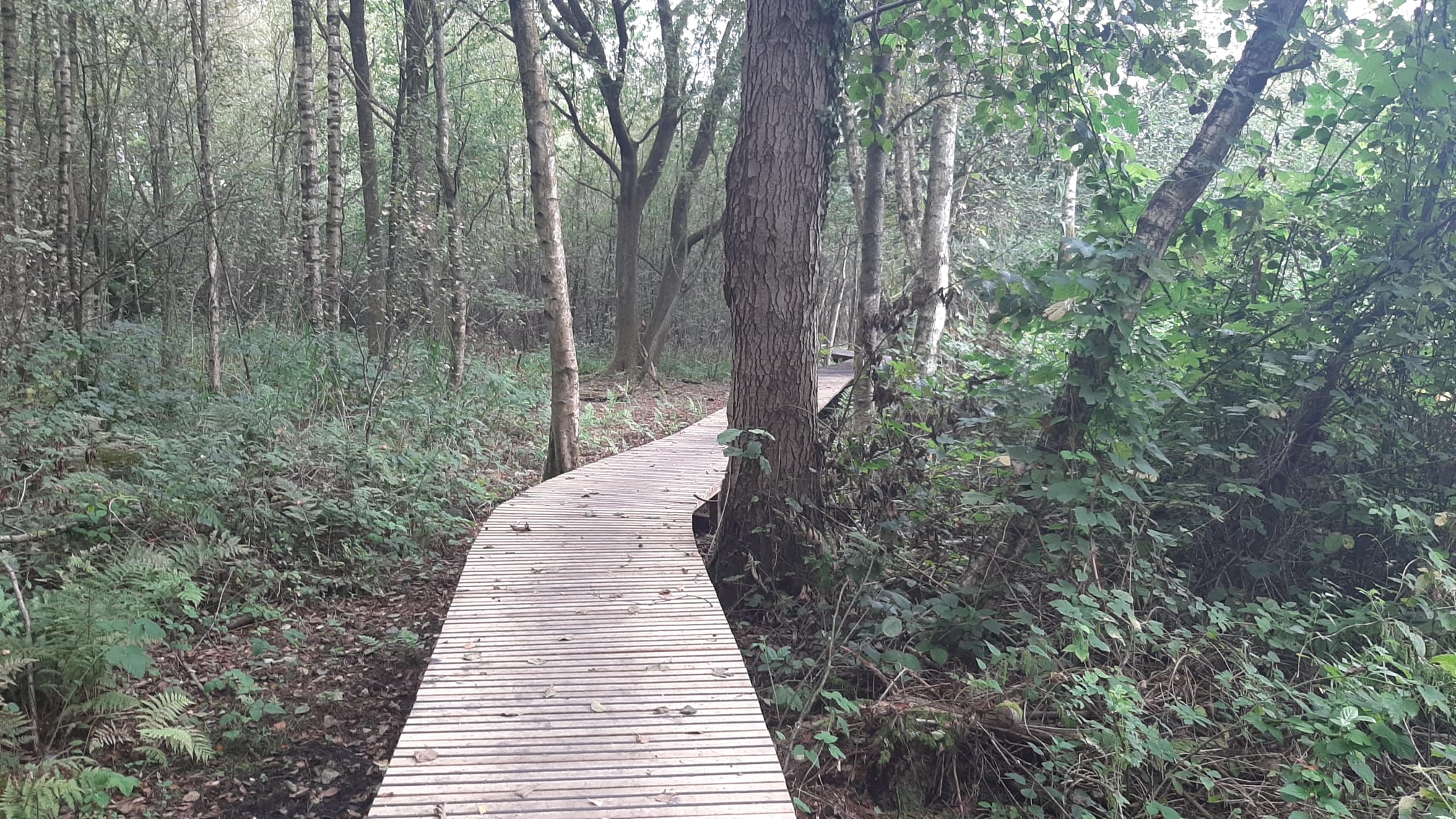 Escaperoute 'Het schandaal van Zutendaal'