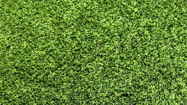 Workshop Lepelsnijden, laat u inspireren door onze voorbeelden