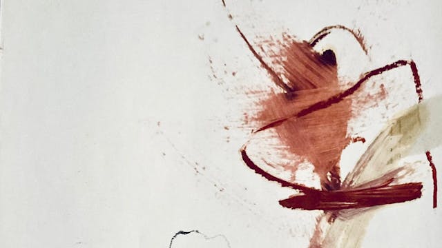 werk van Leona De Roos