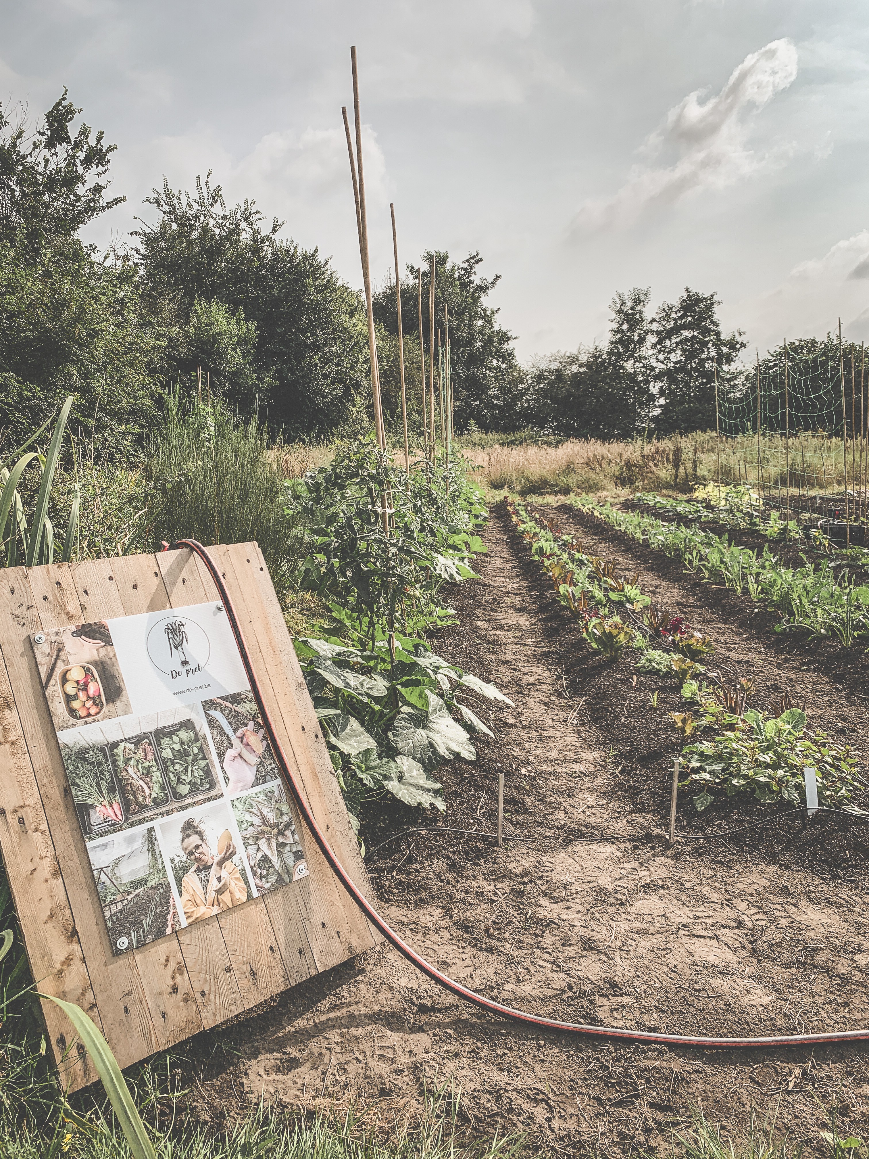 Op het veld van De Pret