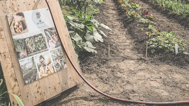 Op het veld van De Pret