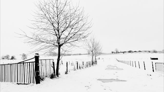 tussen aardeweg en beek, tussen meers en glooiing
