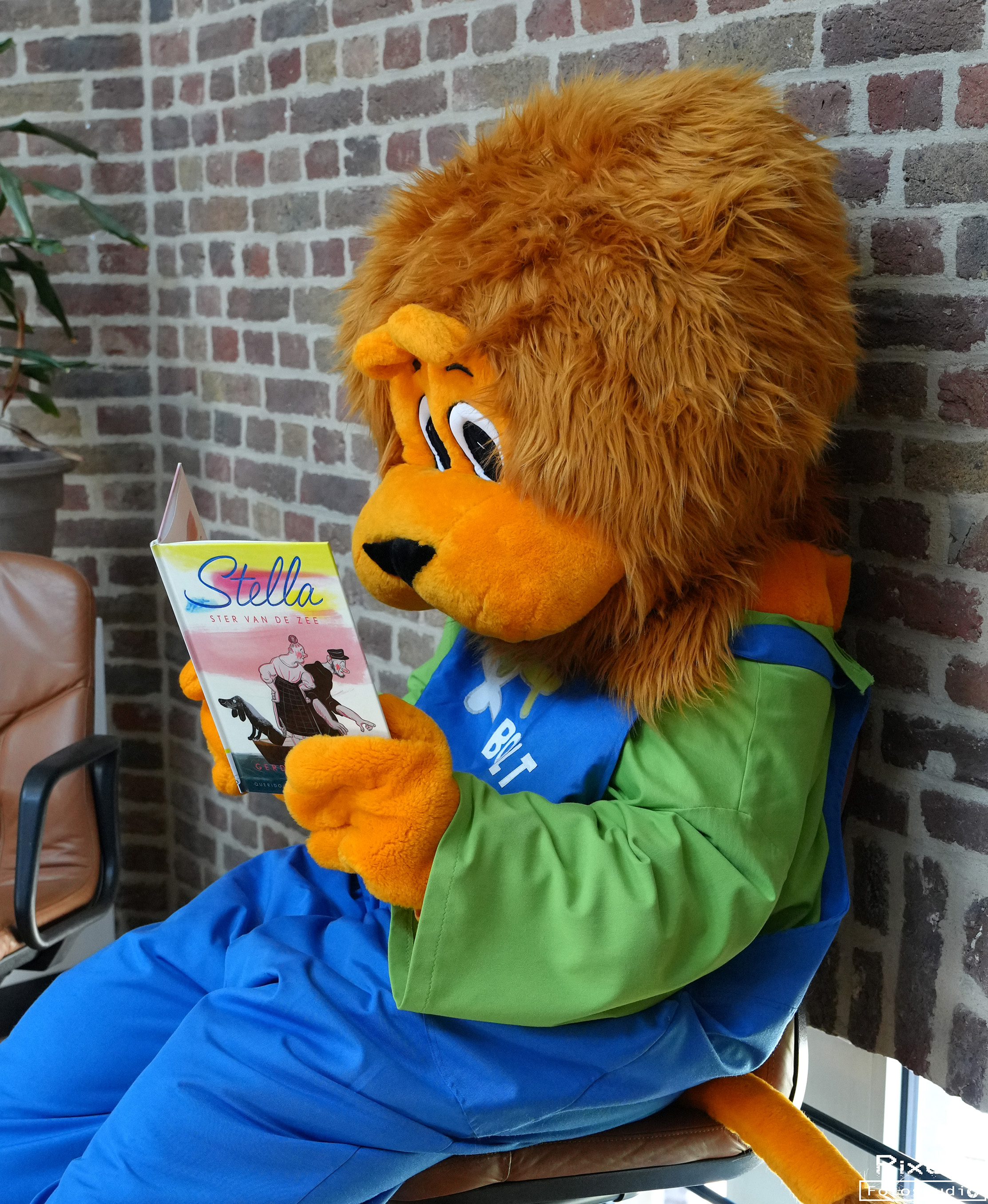 Voorlezen op vier poten 