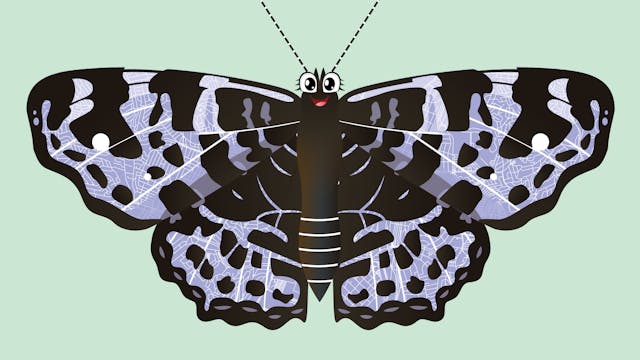 Sectielinks van de site