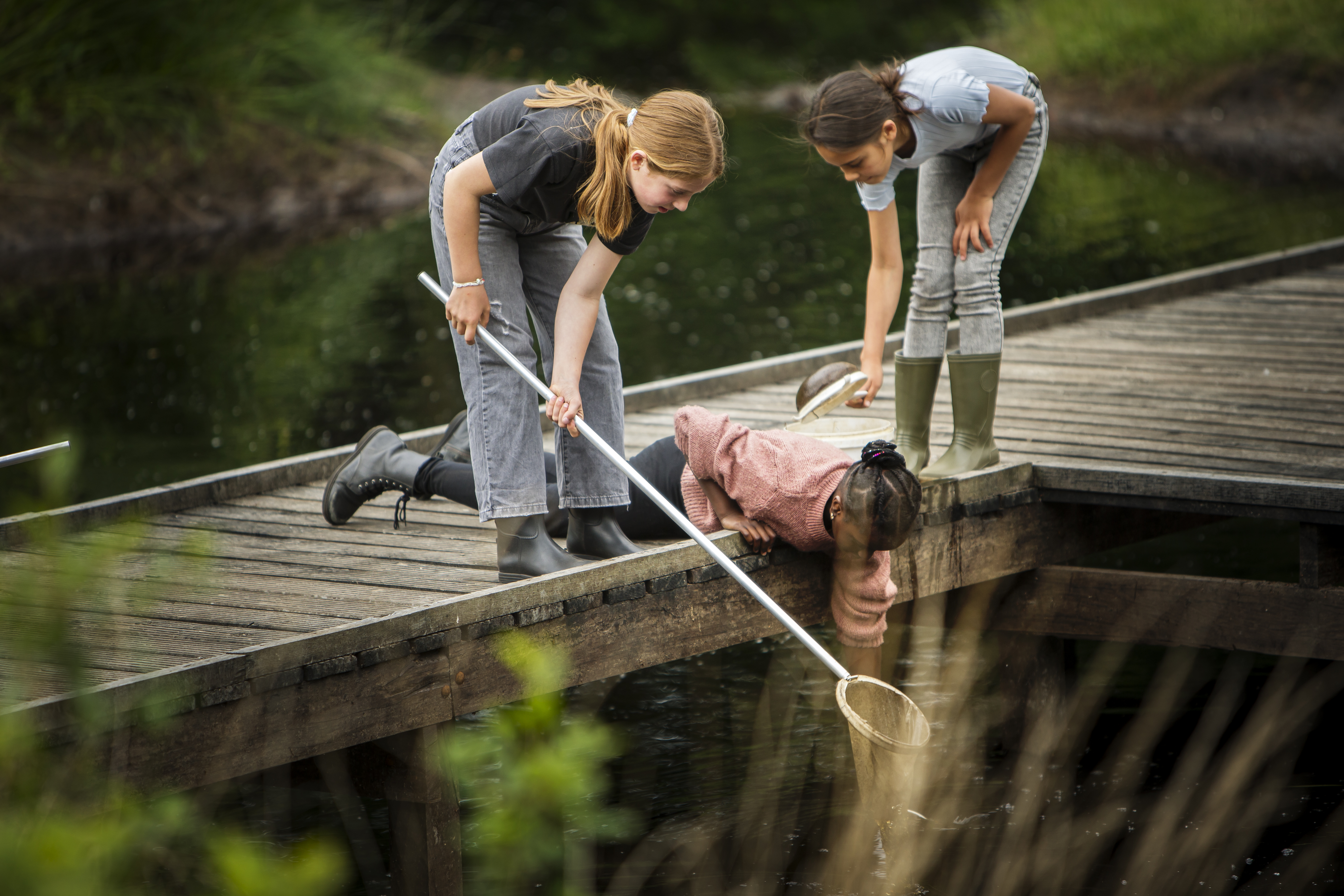 Wateronderzoek aan de vijver