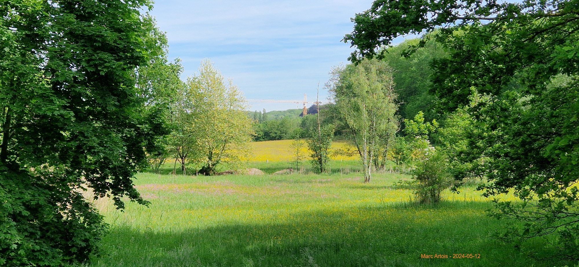 Koebos kleurt in mei