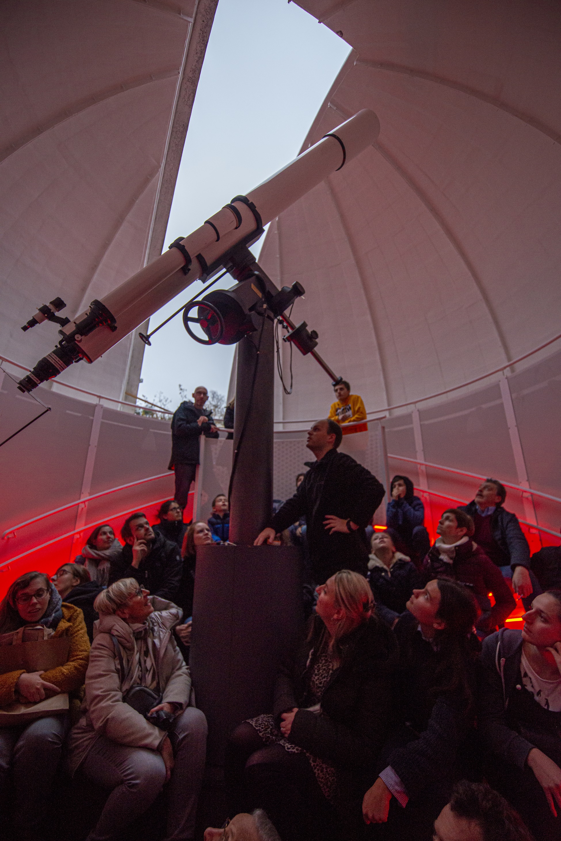 Kattevennen - Cosmodrome