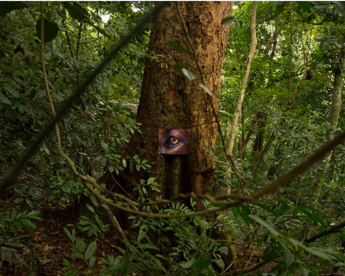 La Pensée Férale 6 