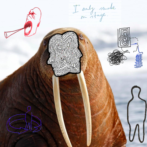 Mijn broer the walrus