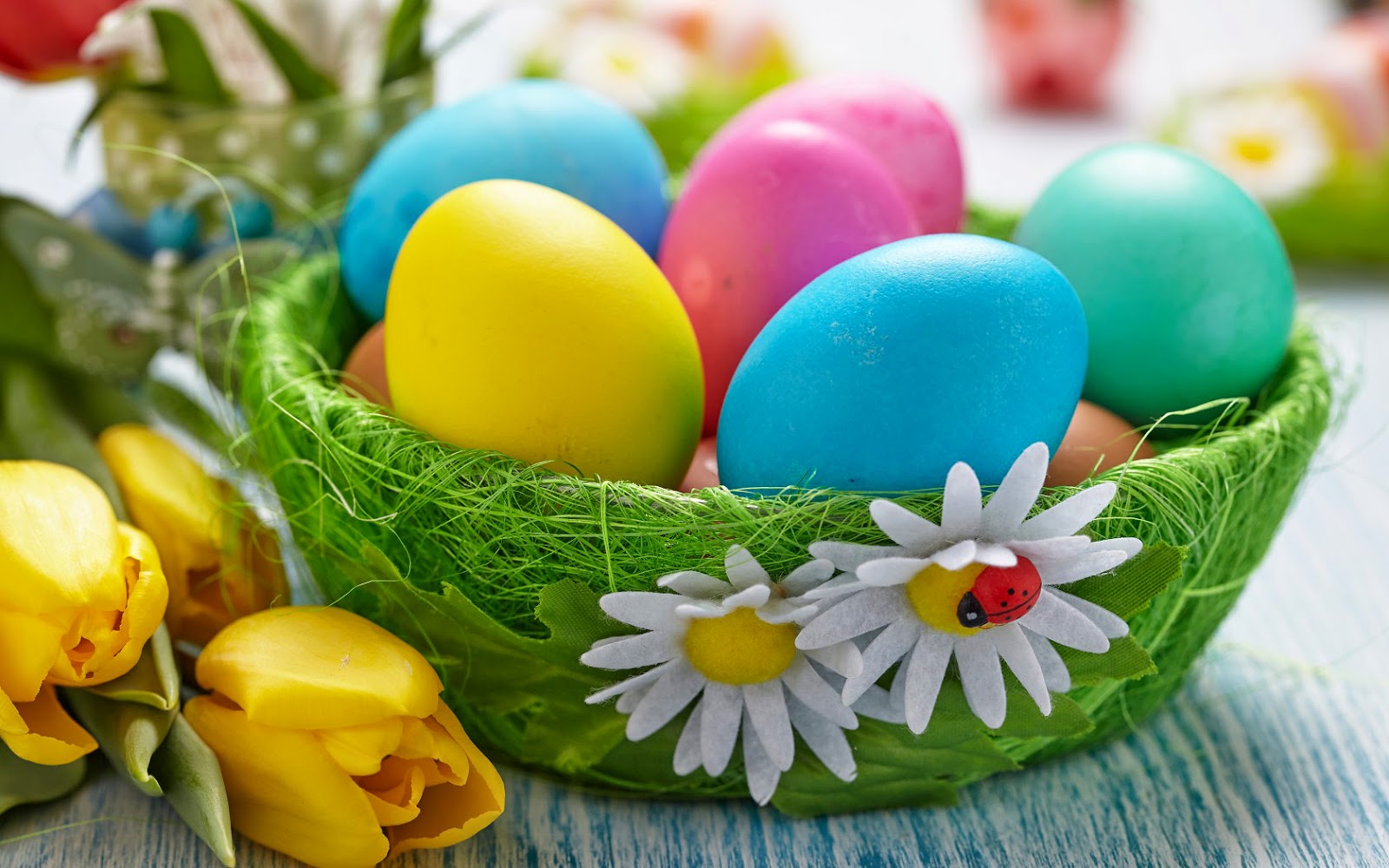 Image for gzbd activity