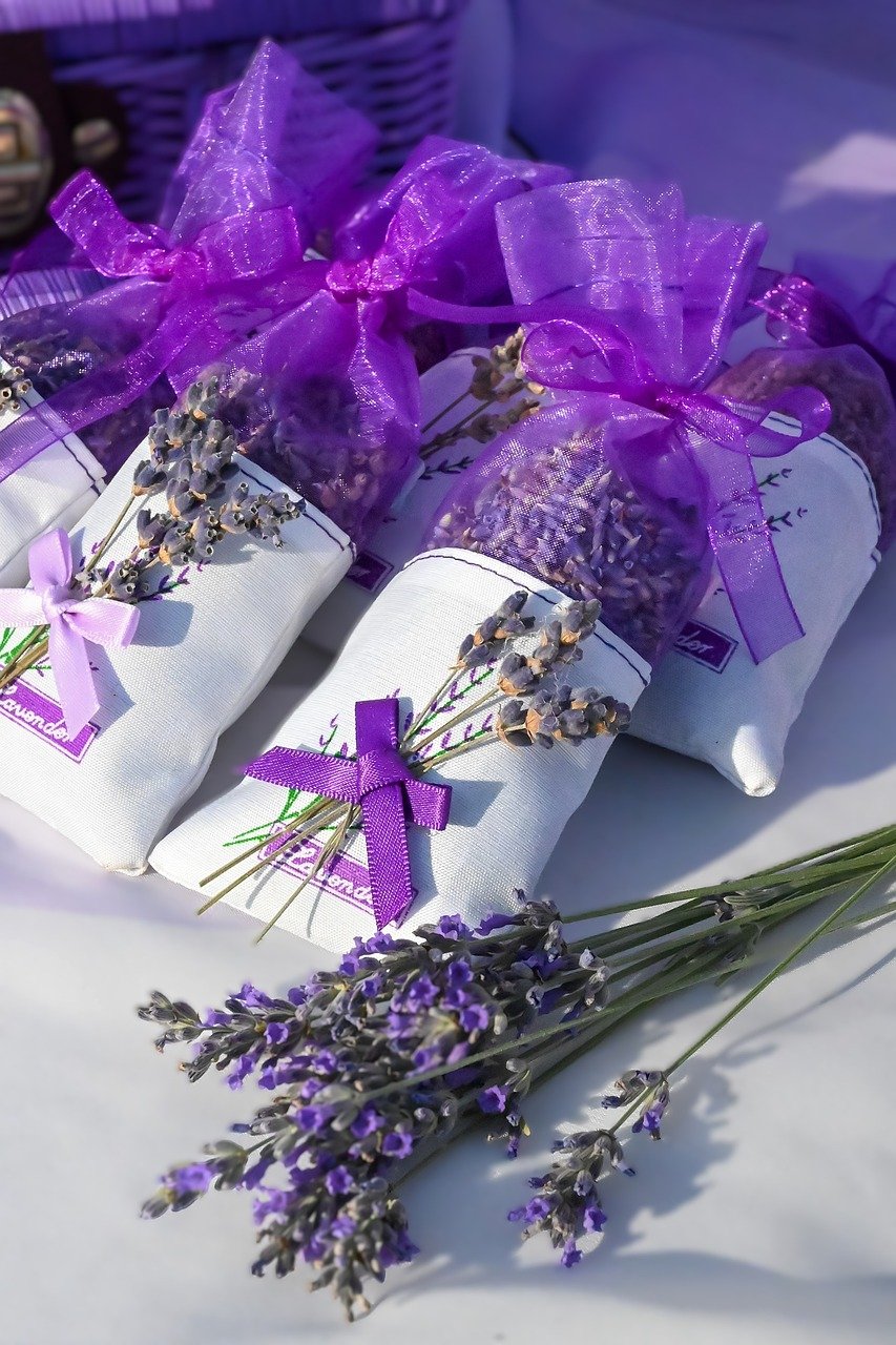 Image for gzbd activity