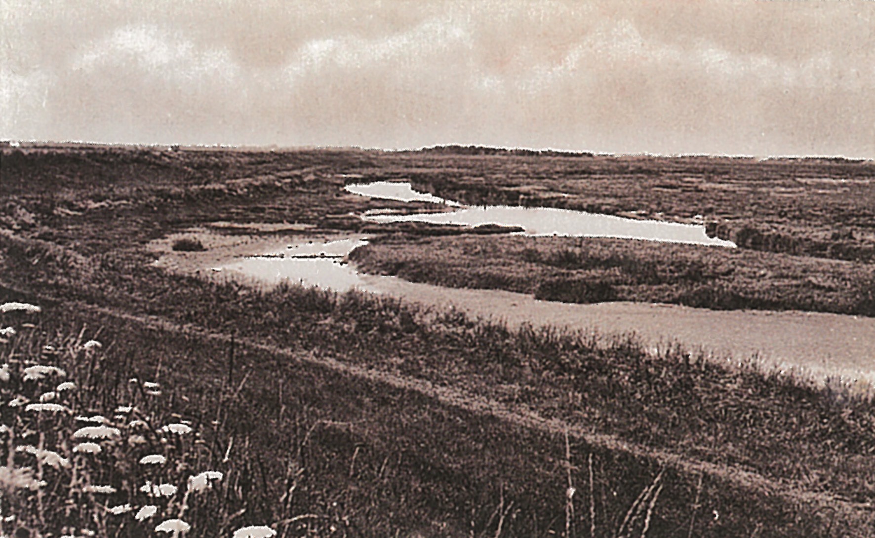 GEMEENTEBESTUUR KNOKKE-HEIST