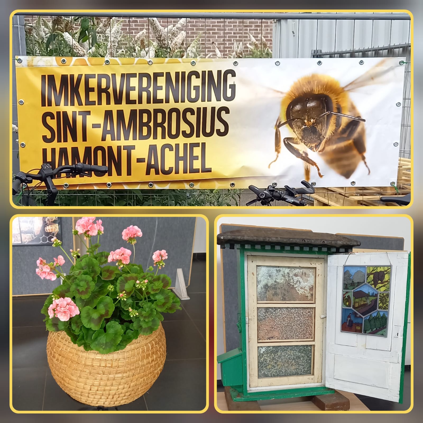 Bijen- infomarkt