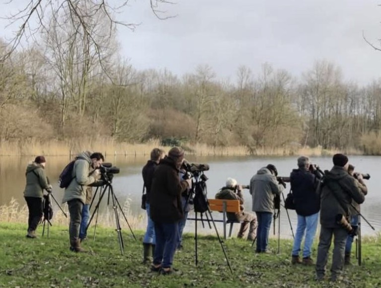 Vogelwerkgroep Oost-Brabant - activiteiten