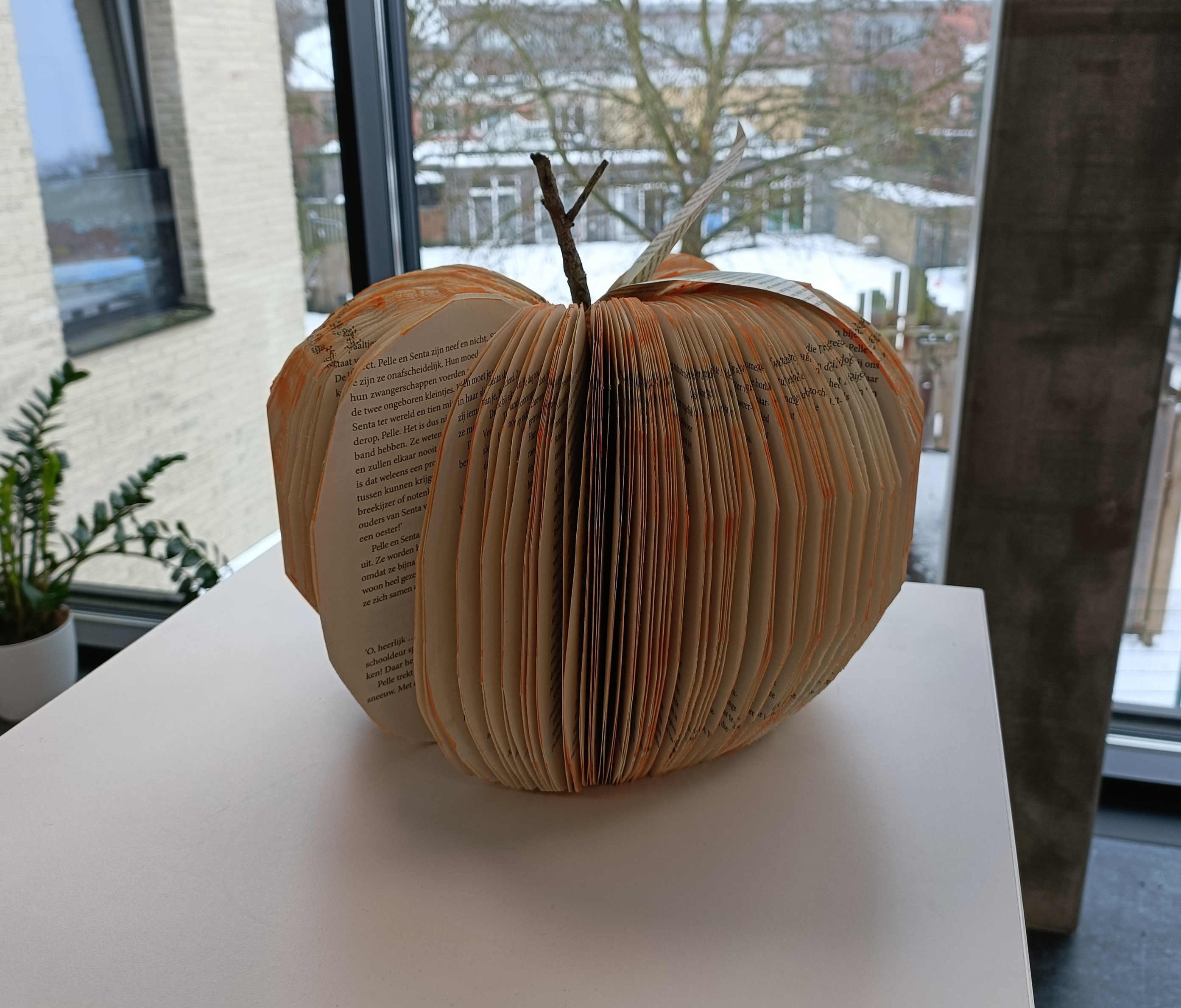 Afbeelding bookart pompoen