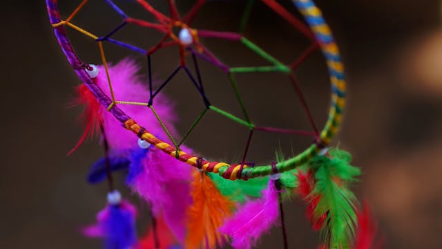 Workshop Dromenvangers